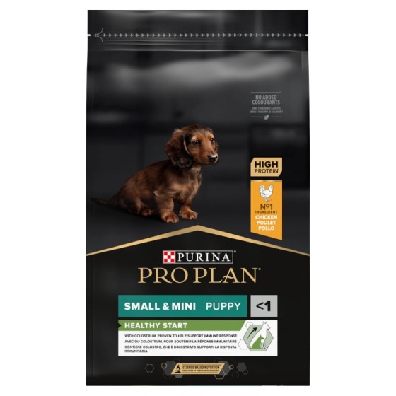 puppy 7kg.jpg