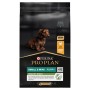 puppy 7kg.jpg