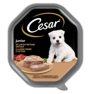 Cesar Junior z delikatnym indykiem i cielęciną 150g