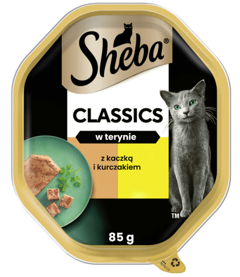 kaczka kurczak teryna.png