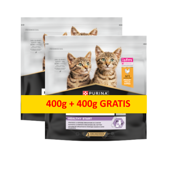 kitten 400+400.png