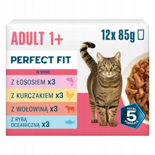 Perfect Fit Adult mix smaków 12x85g