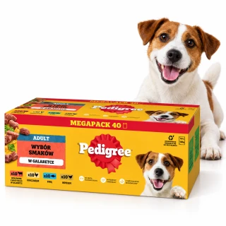 Pedigree Adult Mix Smaków w Galaretce 40 × 100 g – Karma Mokra dla Psa